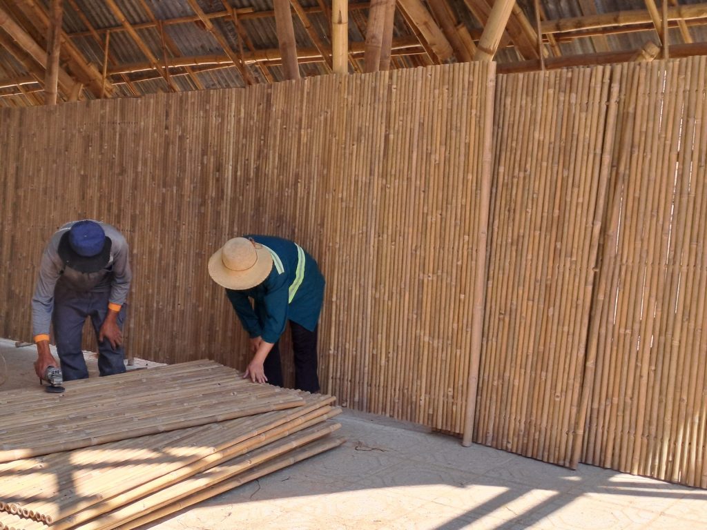 Tre Trúc Nguyên Liệu | HTX Tre Tầm Vông Tố Lan