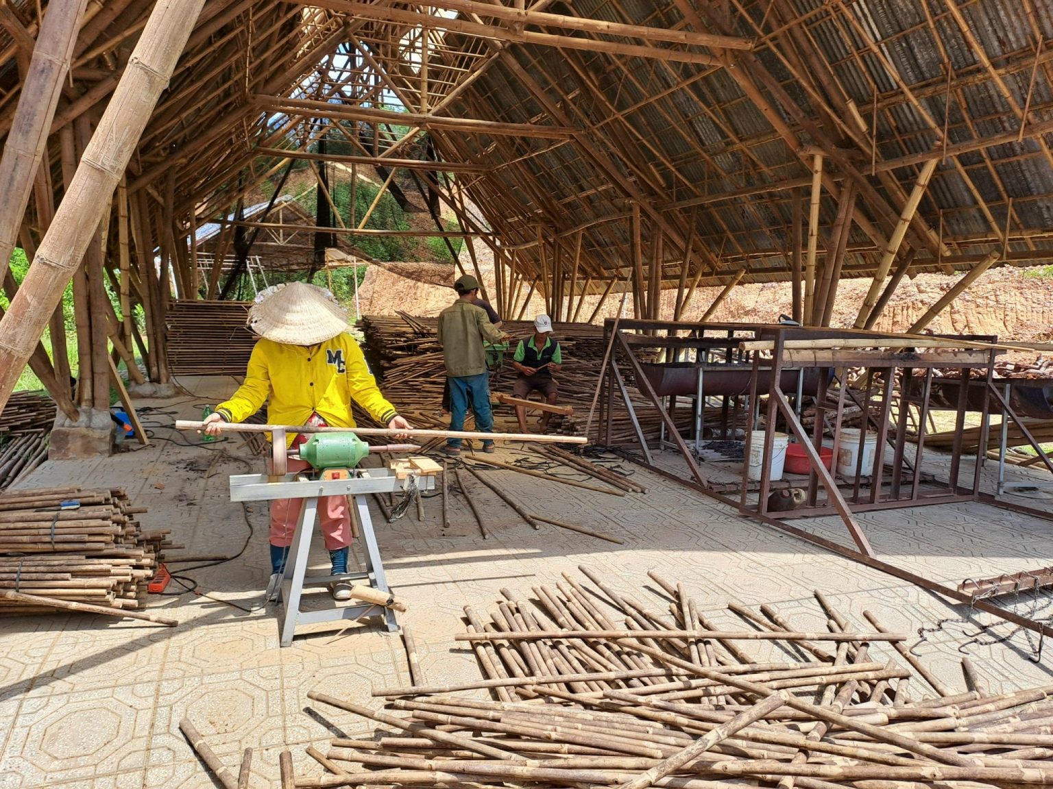 Cung Cấp Gậy Tre - Cọc Tre - Sào Tre Xuất Khẩu | HTX Tre Tầm Vông Tố Lan